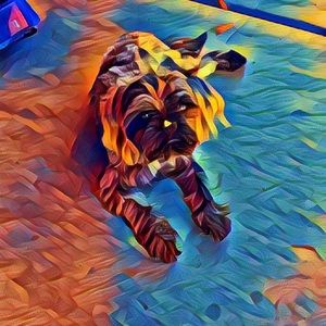 Meet your Posher, Annette